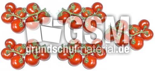 Tomaten-5x7B.jpg